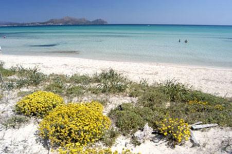 Apartment Alcudia Ocean View Dış mekan fotoğraf